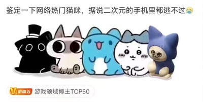 这是一张集合了五只当下在二次元圈层及网络上爆火的卡通猫咪形象的静态图，图上方配有文字“鉴定一下网络热门猫咪，据说二次元的手机里都逃不过😤”，底部带有“游戏领域博主TOP50”的标识。五只猫咪从左到右依次排列：第一只是戴着高顶礼帽的黑色猫咪，风格简约；第二只是睁着大圆眼的灰白配色猫咪，是热门表情包形象；第三只是蓝白相间、吐着舌头的开心猫咪，风格活泼；第四只是出自《吉伊卡哇》的吉伊，戴着蓝色蝴蝶结，脸颊泛红，模样软萌；第五只是出自《集合啦！动物森友会》的杰克，是3D风格的蓝白猫咪。这些形象都是二次元爱好者常用的表情包或喜爱的ACG角色，图的整体风格轻松可爱，旨在引发二次元爱好者的共鸣。