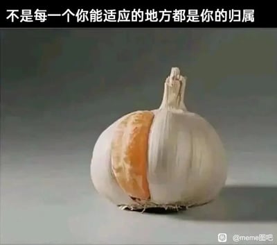 这是一张经过P图改编的静态顶配底文图，画面主体是一个大蒜的外皮，其中一瓣被替换成了完整的橘子瓣，橘瓣的橙色和大蒜外皮的浅白色形成鲜明的视觉对比，打破了人们对大蒜外观的固有认知。图片顶部配有醒目的文字“不是每一个你能适应的地方都是你的归属”，用这个违和的合成形象进行比喻：就像橘瓣虽然能被放置在大蒜外皮中，看似融入了这个“环境”，但它本质和大蒜不属于同一类，以此传达出一个具有共鸣感的道理——即便能在某个环境中生存、适应，这里也不一定是真正适合自己、能让自己找到归属感的地方，引发人们对自身所处环境与自我适配性的思考，容易让有类似经历的人产生情感共鸣。