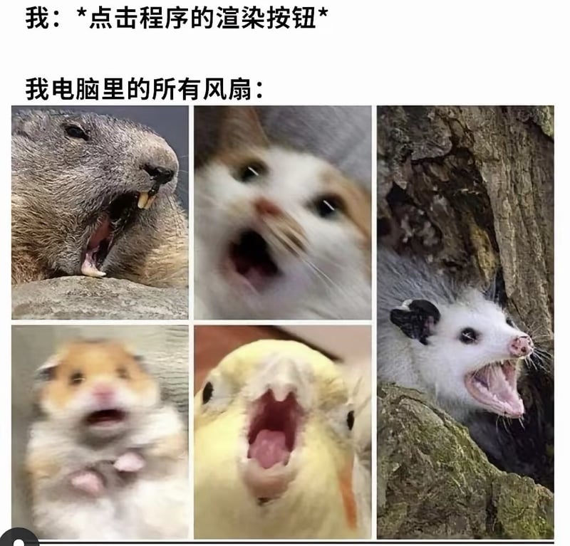 鹦鹉