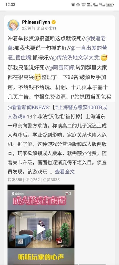 这是一张来自微博平台的竖屏社交媒体截图，用户PhineasFlynn（来自小米11设备）转发了看看新闻KNEWS的新闻报道，新闻内容为上海浦东警方打掉13个非法“汉化组”，缴获100TB成人游戏，事件起因是一位母亲求助称高二儿子沉迷此类游戏后学业受影响、家庭关系陷入危机。该转发附带了多层网友评论，众多网友对该汉化组被打掉表示支持与叫好，网友@阿雪阿辉整理出该汉化组的多项恶劣行为：破解游戏后反手加密、付费才能游玩、机翻汉化、在本子中塞入大量广告、举报免费资源、从P站扒取图片当作图包售卖等，其中“举报免费资源搞垄断”的行为引发网友强烈愤慨。截图下方还附带了看看新闻的相关视频截图，视频标题为“成人游戏有多香”，底部标注“听听玩家的心声”，视频画面展示了成人游戏的场景。