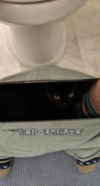 这是一张利用视觉错觉制作的趣味梗图，拍摄场景为卫生间，画面中人物的裤腿被拉开一个开口，黑猫被放置在开口内，营造出黑猫藏在人裤子里的假象。搭配配文“你最好一滴也别洒出来”，模拟黑猫在人如厕时进行“监工”的场景，通过宠物的视角制造出滑稽的反差感，整体风格轻松搞笑，充满趣味性。