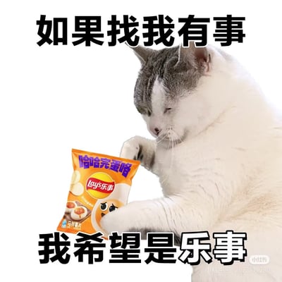 一只灰白相间的猫正专注地抱着一袋乐事薯片，薯片包装袋上印有'哈哈完蛋咯'的字样。图片上方有文字'如果找我有事'，下方有文字'我希望是乐事'，通过双关语表达了猫咪只想专注于吃薯片的幽默场景。