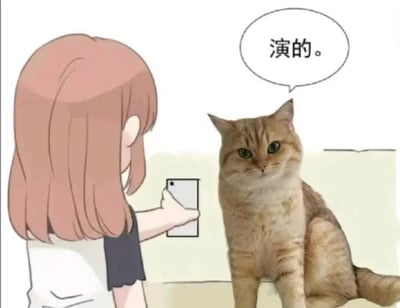 这是一幅趣味合成内容，左侧是浅棕色齐肩发的卡通女生，她正举着手机，似乎在给面前的猫咪拍照；右侧是一只真实的金渐层猫咪，它端坐着，表情平淡，旁边的对白气泡写着“演的。”，用拟人化的方式，让猫咪仿佛在拆穿自己配合摆拍的真相，制造出搞笑的反差感，把猫咪塑造成看透一切的“戏精”形象。