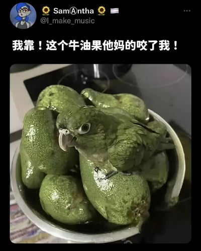 这张图片展示了一个有趣的视觉错觉：一只绿色的鹦鹉站在一碗牛油果中间，由于颜色和纹理相似，乍一看很难分辨鹦鹉和牛油果。图片上方配有文字"我靠！这个牛油果他妈的咬了我！"，幽默地表现了发现真相时的惊讶反应。这种视觉混淆创造了一个滑稽的场景，让人以为是牛油果咬了人，实际上是隐藏在其中的鹦鹉。