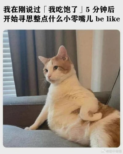 这是一张搞笑生活梗图，上方配有文字“我在刚说过「我吃饱了」5分钟后开始寻思整点什么小零嘴儿 be like”，下方是一只橘白相间的胖猫，它瘫坐在灰色沙发上，一只爪子搭在自己身体上，姿态慵懒放松，眼神带着点琢磨的神态，完美对应了文字描述的场景——很多人刚吃完正餐，嘴上说着吃饱了，没过多久就开始嘴馋，想要找点小零食来吃的真实日常状态，用猫咪慵懒又有点“心思活络”的模样来调侃这种普遍的吃货小习性，生动有趣，容易引发大众共鸣。