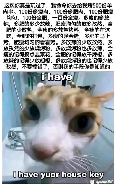 这是一张用来吐槽无理繁琐要求的搞笑梗图。图中上方是一段逻辑混乱、要求极其苛刻的烤羊肉串指令，要求烤制500份分五种不同肥瘦比例的羊肉串，每种都有不同的调料搭配、烤制时间、食用或打包要求，指令重复且复杂，给人一种被故意刁难的压迫感。下方是一只眼睛瞪大、眼神惊恐又带着破罐破摔式威胁感的猫咪特写，配文存在拼写错误的英文“i have i have yuor house key”（正确应为your），用这种带着威胁的话语反制上方的离谱要求，通过“被刁难”和“反制”的强烈反差，制造出荒诞搞笑的效果，精准戳中了人们在生活或职场中遇到不合理、过度繁琐要求时的无奈与反抗情绪。