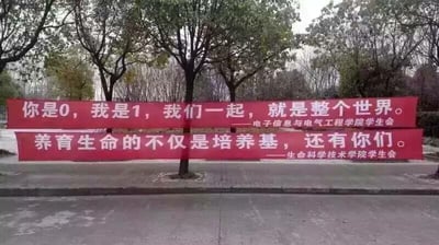 这是一张在大学校园户外拍摄的照片，画面中展示了两条悬挂在树木前方的红色宣传横幅，背景是带有树木的校园路面。

第一条横幅来自电子信息与电气工程学院学生会，内容为“你是0，我是1，我们一起，就是整个世界”，巧妙运用了计算机领域的二进制概念——0和1是构成数字世界的基础元素，以此来表达专属理工科的浪漫告白，用专业相关的内容传递爱意。

第二条横幅来自生命科学技术学院学生会，内容为“养育生命的不仅是培养基，还有你们”，结合生科院的专业特性，将用于培养生物样本的“培养基”类比为对人的关怀，表达出温暖贴心的情感，同样是结合专业的创意暖心表达。

整体氛围温馨有趣，充满了校园里的青春创意，是高校学生结合自身专业打造的浪漫内容。