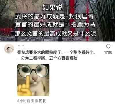 这张图为社交媒体内容截图，上半部分背景为古风树林场景，配文提出问题：如果说武将的最好成就是封狼居胥，宦官的最好成就是指鹿为马，那么文官的最高成就又是什么呢。下半部分是用户的评论回复，内容为看你想要多大的颗粒度了，一个整体看韩非，一分为二看李斯，五个方面看商鞅，回复下方搭配了一张戴圆框眼镜的猫咪表情包，猫咪前配有竖中指的黄色手势emoji，该评论获赞1788，发布地址为安徽，发布时间为3小时前，内容借用古代知名文官代表人物玩梗，搭配搞怪表情包制造笑点。