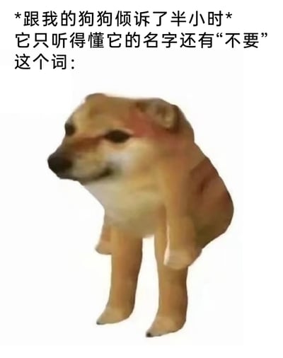 这是一张搞笑宠物主题梗图，上方配文描述了主人花费半小时向自家狗狗倾诉心事，却发现狗狗仅能听懂自己的名字和“不要”一词的无奈场景；下方搭配了一张肢体扭曲、神态敷衍茫然的柴犬形象，用夸张的视觉效果和接地气的日常吐槽，生动呈现出养宠人向宠物倾诉却鸡同鸭讲的好笑又无奈的瞬间，精准戳中了不少养宠人的共鸣点，通过反差感制造幽默效果。