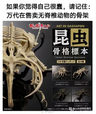 这是一张二次创作的搞笑梗图，顶部配有吐槽文案，下方是万代推出的“昆虫骨骼标本”扭蛋商品宣传图，展示了虚构的带有脊椎、头骨结构的昆虫造型可动手办，共分白骨、化石两种配色合计4款。该梗利用无脊椎动物本身不存在骨骼的常识，调侃万代推出不存在的无脊椎动物骨架周边的离谱操作，用来安慰自认犯蠢的人，表达和万代的离谱行为相比自己的失误并不算什么的情绪。