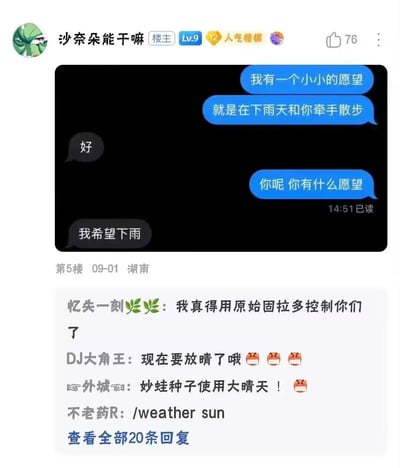 这是一张社交媒体截图，展示了一段有趣的聊天对话和相关评论。对话中一人表达希望在下雨天牵手散步的愿望，另一人则简单回应'好'。当被问及自己的愿望时，第二人回答'我希望下雨'，形成了一种幽默的逻辑闭环。评论区网友们纷纷用Pokémon中的角色和技能进行调侃，如'原始固拉多'、'妙蛙种子使用大晴天'等，进一步增加了趣味性。