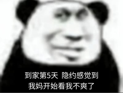 这是一张二次创作的搞笑表情包，整体为黑白色调，画面主体是经过模糊处理的恶搞熊猫头人脸形象，面部带着微妙的无奈戏谑笑意，画面下方配有白色文字“到家第5天 隐约感觉到 我妈开始看我不爽了”，精准戳中了年轻人放假回家时，刚到家的前几天被父母优待，数日后就因生活习惯等问题被父母嫌弃的普遍生活体验，共鸣感很强。