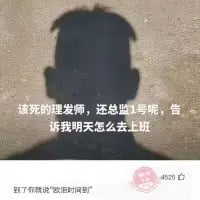 这是一张上班族吐槽理发翻车的搞笑梗图，图中展示了一个人的头部剪影，头顶被剪出了极其怪异、不规则的失败发型。配文“该死的理发师，还总监1号呢，告诉我明天怎么去上班”，直白地表达了对自称总监级理发师的技术不满，以及对第二天要顶着糟糕发型上班的社恐崩溃情绪。下方小字“到了你就说‘政治时间到’”是一个搞笑的谐音梗支招，“政治时间”谐音“植发时间”，用这个荒诞的借口来化解尴尬，让整张图充满了无奈又搞笑的氛围。