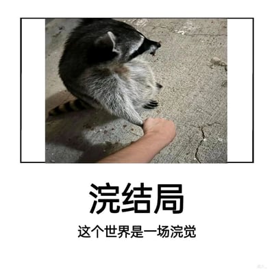这是一张顶配底文形式的搞笑表情包，上方的实拍图片展示了一只浣熊与人类的手做出拉钩的动作，画面带有黑色边框；下方配有醒目的黑色文字，分别是“浣结局”和“这个世界是一场浣觉”。创作者利用“浣”与“幻”的谐音，将“幻结局”“这个世界是一场幻觉”改编成带有浣熊元素的文字梗，以荒诞幽默的方式调侃现实，传递出一种玩世不恭、戏谑的情绪，适合在社交场景中用来表达对现状的调侃或吐槽。