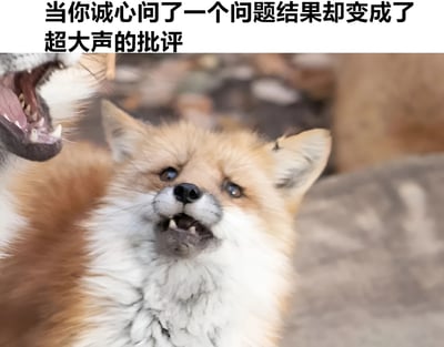 图片上方配有文字'当你诚心问了一个问题结果却变成了超大的批评'，下方是一只表情惊讶、嘴巴微张的小狐狸，其左侧有另一只动物（疑似成年狐狸或狼）张大嘴巴，露出牙齿，仿佛在大声训斥。整体通过动物表情和动作生动展现了好心提问却遭严厉批评的尴尬场景。