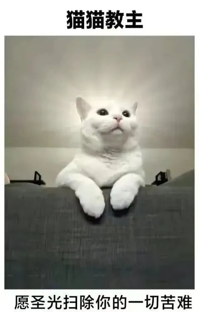 图片中一只白色猫咪前爪搭在灰色沙发边缘，仰头望向上方，表情显得虔诚可爱。图片顶部有黑色粗体文字“猫猫教主”，底部有文字“愿圣光扫除你的一切苦难”。整体通过将猫咪拟人化为“教主”并使用“圣光”等宗教相关词汇，营造出一种幽默又治愈的氛围，表达对观看者的美好祝福。
