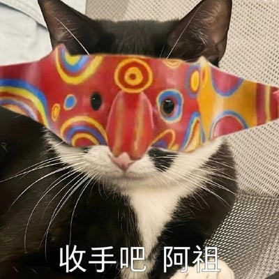 这是一张经过二次创作的搞笑表情包，画面主体是一只黑白相间的奶牛猫正面对镜头，面部被P上了电影《新警察故事》中反派阿祖佩戴的同款彩色花纹面具，图片底部配有白色文字“收手吧 阿祖”，将软萌的猫咪形象与经典港片梗结合，充满诙谐的调侃趣味。