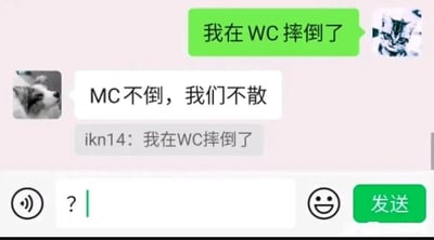 这是一张微信聊天记录的静态截图，画面呈现了一段因谐音产生趣味误会的对话。头像是猫咪的用户发送消息“我在WC摔倒了”，本意是告知对方自己在卫生间（WC是卫生间的英文缩写）摔倒的状况；而头像是狗狗的用户却回复了“MC不倒，我们不散”，该内容是沙盒游戏《我的世界（Minecraft，简称MC）》玩家的标志性口号，用于表达对游戏的喜爱与坚守，显然是将“WC”误看成或误听成了“MC”。此外，聊天框中还重复显示了“ikn14：我在WC摔倒了”的消息，最后消息输入框中输入了一个问号，精准体现出消息发送者对对方偏离原意回复的困惑与不解，整个对话因谐音错位制造出荒诞搞笑的效果。