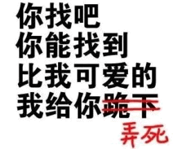 你能找到比我可爱的算我输
