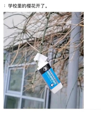 这是一张趣味恶搞的校园实拍图，图上方配有文字“学校里的樱花开了”，但实际画面中是学校建筑旁光秃秃的树枝，枝桠上挂着一个樱花（SAKURA）品牌的固体胶，利用品牌名称和“樱花”的同名关系玩谐音梗，调侃校园里没有真正开放的樱花，用文具替代来制造反差笑点，充满学生的趣味整活感，背景能看到学校的窗户和建筑，树枝完全没有花朵，进一步凸显出这种恶搞的反差感。