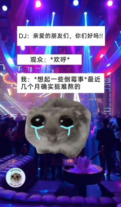 这是一张经过P图改编的静态meme图片，背景是灯光绚烂、氛围热烈的夜店现场，DJ正在热情调动气氛，观众们欢呼回应，营造出狂欢的氛围；而图中前景的悲伤仓鼠meme代表“我”，在这种热闹场景里突然陷入情绪低谷，想起近期的倒霉事，感慨近几个月的难熬，形成了强烈的情绪反差，精准捕捉到了人群狂欢中突然emo的瞬间，用悲伤仓鼠的委屈表情强化了这种低落、难熬的情绪，很容易引发有相似经历的人的共鸣。