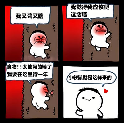 这是一张四格漫画形式的搞笑梗图，每格都有一个简单的白色卡通人物。第一格中人物表情痛苦，说"我又聋又瞎"；第二格人物尝试爬一堵红墙，说"我觉得我应该爬这堵墙"；第三格人物吃到食物后非常兴奋，说"食物!! 太他妈的棒了 我要在这里待一年"；第四格人物表情得意，旁边有个心形图案，说"小袋鼠就是这样来的"。整个漫画通过夸张的表情和对话制造幽默效果。