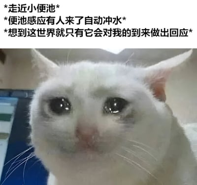 图片上半部分为三段文字：“*走近小便池*”“*便池感应有人来了自动冲水*”“*想到这世界就只有它会对我的到来做出回应*”，下半部分是一张特写的白色猫咪照片，猫咪眼睛含泪，表情悲伤。通过将日常场景中便池的自动冲水功能与“被世界回应”的孤独感联系起来，用流泪猫猫头的悲伤表情形成幽默又带点自嘲的效果，表达一种夸张的孤独情绪。