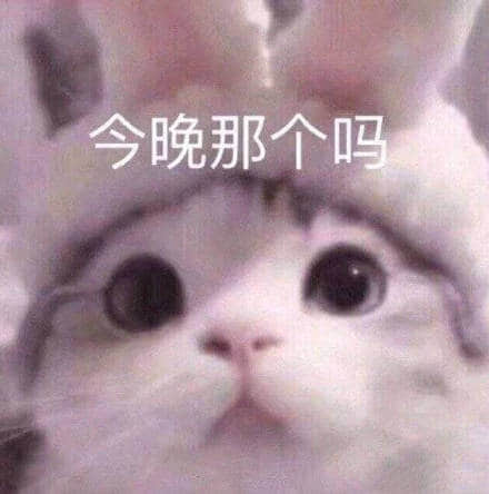 戴兔子耳朵的猫咪疑问脸表情包