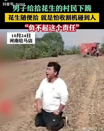 这是10月24日河南驻马店一处农田里的场景，画面中一名男子跪在已经收割过的花生地中，张大嘴巴情绪激动地呼喊。他下跪的原因是有村民在正在作业的收割机附近拾花生，他十分担忧收割机不慎碰到村民，自己无法承担后续的责任，因此用下跪的方式恳求村民远离作业区域，甚至表示花生可以随便捡拾，只希望能避免安全事故的发生。画面远处可见红色的收割机正在田地中作业，背景是农田周边的植被。