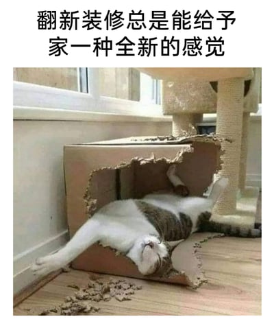 这是一张趣味梗图，上方配有文字“翻新装修总是能给予家一种全新的感觉”，图中一只白棕相间的猫咪将一个纸箱掏开了一个不规则的大洞，自己四仰八叉地从破洞里瘫躺出来，身体完全舒展，闭眼呈现出惬意熟睡的状态。图片用猫咪拆纸箱的调皮行为，调侃成“翻新装修”，通过文字和画面的反差制造出搞笑幽默的效果，生动展现了猫咪爱拆东西的日常习性，很容易引发宠物主人的共鸣。