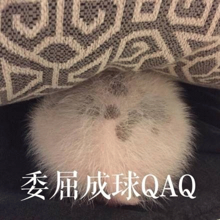 委屈成球的小毛球QAQ