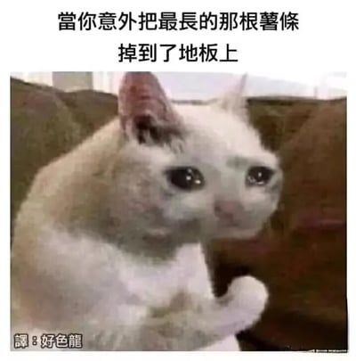 暂无描述