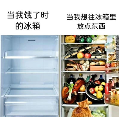 这是一张左右对比的搞笑P图，左侧是“当我饿了时的冰箱”，内部完全空无一物，表现出饿肚子时找不到食物的无奈；右侧是“当我想往冰箱里放点东西”的场景，冰箱被塞得满满当当，不仅有各种食材，甚至还有鞋子、大提琴等完全不属于冰箱的物品，一只橘猫蹲在冰箱前，夸张地呈现出想存东西时冰箱没有空间的窘迫，通过强烈的反差感，精准戳中生活中的共鸣点，风格搞笑诙谐。