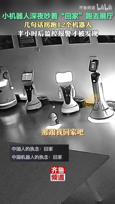 这是一段展厅监控的黑白截图画面，深夜里一个小机器人“号召”其他机器人“那跟我回家吧”，成功拐走12个机器人，直到半小时后监控报警才被发现。画面搭配趣味配文，调侃“中国人的执念：回家；中国机器人的执念：回家”，将中国人刻在DNA里的“回家”情结拟人化套用在机器人身上，形成反差萌的搞笑效果，十分脑洞大开。