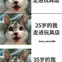 这是一张由三张猫咪表情图拼接而成的连环梗图，通过猫咪的不同表情搭配对应文字，展现不同年龄阶段走进玩具店的心态变化：<br>1. 第一张猫咪张嘴兴奋，配文「走进玩具店」，代表对玩具店充满期待的孩童般情绪；<br>2. 第二张猫咪眼睛瞪大、嘴巴张开，配文「25岁的我走进玩具店」，表现出成年人依然对玩具店抱有惊喜与兴奋的情绪；<br>3. 第三张猫咪表情平淡，配文「35岁的我走进玩具店」，体现出随着年龄增长，对玩具店不再有强烈兴趣的平淡心态。<br>整图用猫咪的表情反差生动呈现年龄带来的心态转变，引发不同年龄段用户的共鸣，风格搞笑接地气。