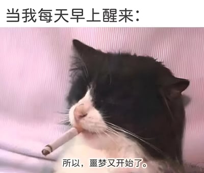 这张图片展示了一只黑白相间的猫咪侧卧在粉色条纹背景上，嘴里叼着一根香烟，表情显得疲惫而无奈。图片上方配有文字“当我每天早上醒来：”，下方配有文字“所以，噩梦又开始了。”，通过拟人化的手法幽默地表达了许多人每天早上醒来面对新一天时的疲惫和不情愿。猫咪叼烟的形象与人类上班族的疲惫状态形成有趣的类比，引发共鸣。