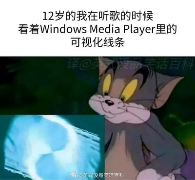这张梗图分为上下两部分：上方有一段大字描述，意思是“12岁的我在听歌的时候，看着Windows Media Player里的可视化线条”，下方配图为《猫和老鼠》里的Tom正目不转睛、陶醉地盯着某物，旁边是Windows Media Player中的经典可视化效果动画画面。整个梗表达了一种怀旧、中二、曾经觉得简单的娱乐方式如今看来非常纯真的搞笑气质。

没有明显双关、谐音梗或暗示，但有种自黑怀旧风格。