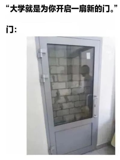 这是一张图文混排的搞笑吐槽梗图，上方配有文字“大学就是为你开启一扇新的门。”，随后用“门：”引出下方的实拍图片。图片中的门外观看起来正常，但透过门的玻璃可以清晰看到门后方被整块砖墙完全封死，没有任何可通行的空间，同时玻璃上还映出一个模糊的拍摄者人影。这张图通过文字描述和实际画面的强烈反差，制造出讽刺和幽默的效果，调侃大学并没有如宣传般为学生带来全新的、通畅的发展出路，反而像是将前路堵死，精准戳中部分大学生对未来迷茫、对大学价值产生质疑的自嘲心态，属于典型的网络反差梗创作。