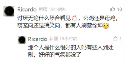 这是一张竖屏格式的社交媒体评论区截图，截图展示了用户Ricardo的两条评论，该用户IP显示为新疆，评论发布于19小时前。第一条评论内容为“讨厌无论什么场合看见🐔，公鸡还是母鸡，萌宠向还是搞笑向，都有人刷蔡徐坤😒”，获得了10个点赞；第二条评论内容为“那个人是什么很好的人吗有些人到处刷，好好的气氛都没了”，获得了1个点赞。用户通过这两条评论表达了对网络上不分场合刷蔡徐坤相关评论的反感，认为这类行为破坏了内容原本的氛围。
