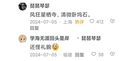 这是一张中文社交媒体的评论区截图，发布于2024年7月5日。用户“琵琶琴瑟”（上海）发布了一句对仗工整的短句“风狂星栖寺，清微卧坞石”，该评论被标记为热评，收获412个赞。另一用户“学海无涯回头是岸”（福建）回复该评论，内容为“还怪礼貌😆”，收获38个赞。互动的趣味点在于原评论以类似古诗的正经句式呈现，回复用接地气的调侃形成反差，制造出搞笑效果，没有双关或谐音梗。
