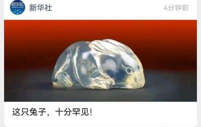图片为新华社社交媒体发布的内容截图，主体展示了一件罕见的玉兔造型器物。器物呈半透明蓝色，蜷缩状，细节纹理清晰，背景为鲜明的红色渐变。图片下方配有文字“这只兔子，十分罕见！”，突出其稀有性。整体构图简洁，色彩对比强烈，视觉焦点集中在玉兔文物上。