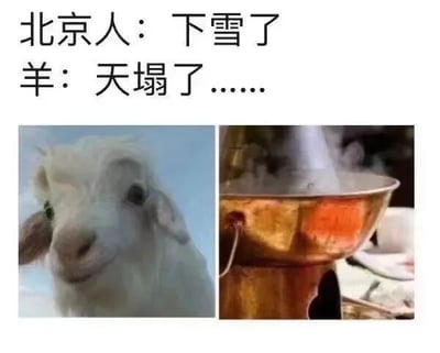 图片上方配有两行对比文字：“北京人：下雪了”和“羊：天塌了……”。下方左右拼接两张图片，左侧是一只白色山羊的特写，它眼神直视前方，表情略带困惑与担忧；右侧是一口冒着热气的铜制火锅，锅内汤汁翻滚。该梗图通过文字与图像的结合制造幽默效果，利用“下雪”可能引发的联想（对羊而言暗示被烹饪的风险），形成北京人对雪景的平常反应与羊的“戏剧性恐慌”之间的反差萌。