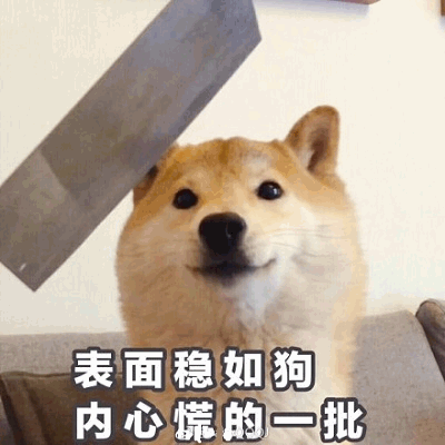 图片中是一只表情平静的柴犬，正直视镜头，眼神看起来十分淡定。其头顶上方有一个倾斜的灰色物体（疑似书本或板子）。图片底部配有文字“表面稳如狗 内心慌的一批”，通过柴犬外在的镇定与文字所描述的内心慌乱形成鲜明反差，以幽默的方式表达了人们外表平静内心却波涛汹涌的状态。