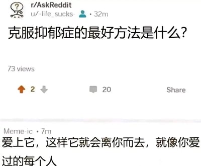 这是一张国外论坛Reddit的AskReddit板块的帖子截图，发帖用户u/-life_sucks-的用户名传递出消极的生活情绪，其提出的问题为“克服抑郁症的最好方法是什么？”。该帖子显示有73次浏览量、2个点赞以及20条评论。在评论区中，用户Meme-ic给出了一条充满黑色幽默的回复：“爱上它，这样它就会离你而去，就像你爱过的每个人”，用一种自嘲式的调侃回应了关于抑郁症的提问，将抑郁症比作会离开的爱人，暗合发帖人低落的心态，带有无奈又戏谑的网络段子风格。