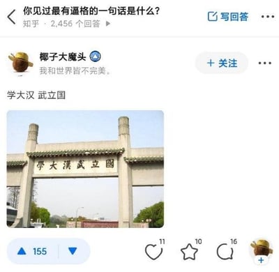 这是知乎平台上针对问题「你见过最有逼格的一句话是什么？」的回答截图。用户「椰子大魔头」先回复了一句带有文艺感的「我和世界皆不完美。」，紧接着抛出「学大汉 武立国」并配上武汉大学的校门照片。武大校门上的原文字是「国立武汉大学」，将其拆分为「学大汉 武立国」后，形成了一句听起来气势十足的话，利用拆字的方式制造出有趣的反差感，幽默地回应了问题。
