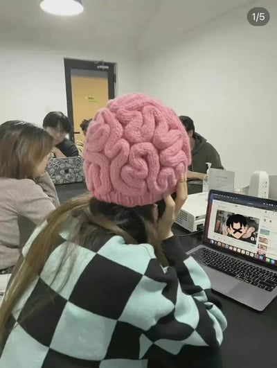 这是一张实拍静态照片，拍摄于室内办公或学习场景中。画面前景是一名背对镜头的长发女性，她身着黑与浅蓝相间的格纹上衣，头上戴着一顶设计十分搞怪的粉色针织帽，帽子的编织纹理完全模仿人类大脑的沟回结构，视觉效果如同将“大脑”佩戴在头顶。该女性右手抬起扶着帽子，面前的桌面上摆放着一台打开的笔记本电脑，屏幕上显示着带有卡通人物的页面。背景中可以看到多名其他人员同样坐在桌前，周围是普通的室内空间布置，画面右上角标注有“1/5”字样，说明该图是一组共5张图片中的第一张。