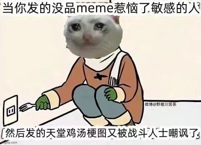 这是一张幽默梗图，画面主体是一个穿着传统服饰的卡通人物，其脸部被替换成了一只表情无奈的猫脸。人物正坐在地上，伸出手拿着叉子试图触碰电源插座。图片上方配有文字“当你发的没品meme惹恼了敏感的人”，下方配有文字“然后发的天堂鸡汤梗图又被战斗人士嘲讽了”，通过夸张的触电危险行为，幽默地表达了在网络上发言左右为难、无论发什么内容都可能被批评的无奈处境。