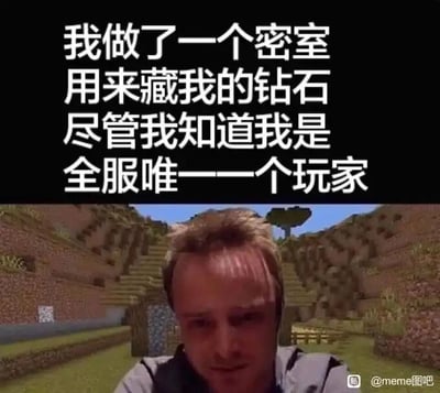 这是一张经过P图改编的搞笑迷因图，采用图文混排的形式，上方配有白色文字“我做了一个密室用来藏我的钻石尽管我知道我是全服唯一一个玩家”，下方是将《哈利·波特》系列中德拉科·马尔福的扮演者汤姆·费尔顿的面部，合成到沙盒游戏《我的世界》的像素风格游戏场景之上。人物惆怅无奈的表情，精准呼应了文字所描述的内容：明明是单人服务器，全服只有自己一个玩家，却依然保留着玩多人服务器时，担心钻石被其他玩家偷走而建造密室藏匿的习惯，这种充满执念的无意义行为，既好笑又戳中了单人游戏玩家那种孤独却又保留着游戏惯性的微妙心态，通过反差感制造出幽默效果。