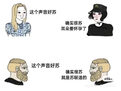 这是一张采用上下对比形式的卡通搞笑梗图，上半部分呈现两位女性角色的对话：左侧金发蓝裙女性表示“这个声音好苏”，右侧身着麦当劳制服的女性回应“确实很苏 耳朵要怀孕了”，此处的“苏”是网络语境中形容声音温柔动听、富有磁性的常用表述；下半部分则是两位相同的金发络腮胡男性的对话，左侧男性同样说“这个声音好苏”，右侧男性却玩起谐音梗，回应“确实很苏 就是苏联造的”，将形容声音的“苏”曲解为“苏联”的“苏”，通过语义的反差制造出荒诞搞笑的效果。图片右下角带有小红书平台的水印，标注了小红书号。