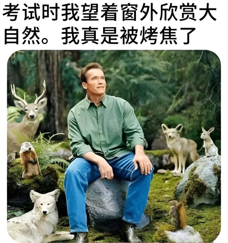 阿诺德·施瓦辛格